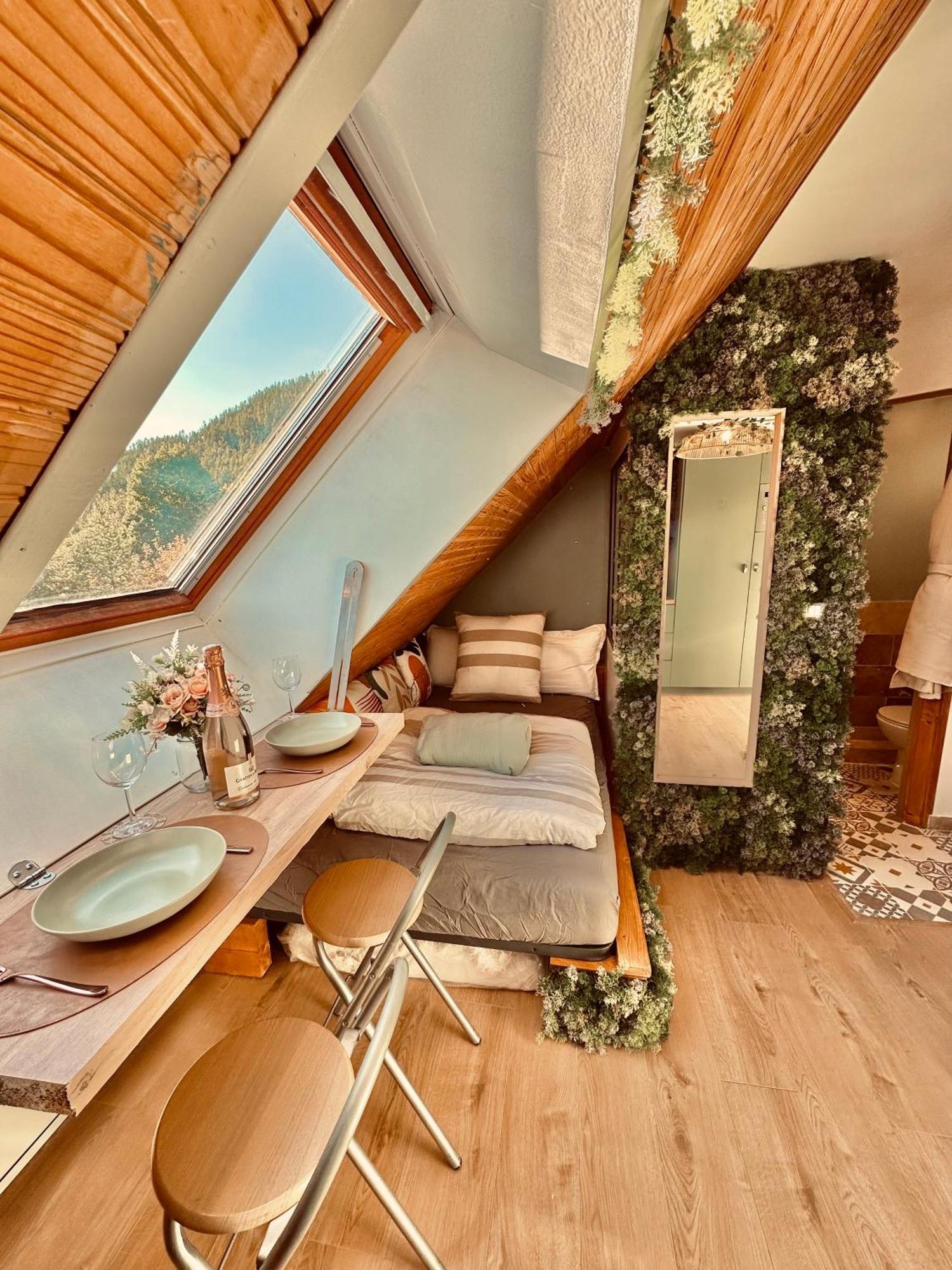Atypical - Apartment Allos